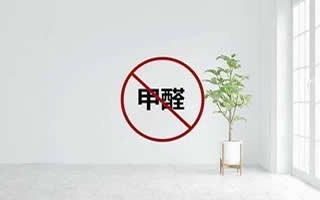 除四害·灭蟑螂/灭蚊/灭臭虫/灭白蚁/灭跳蚤/除虫除蚁灭苍蝇杀虫除甲醛